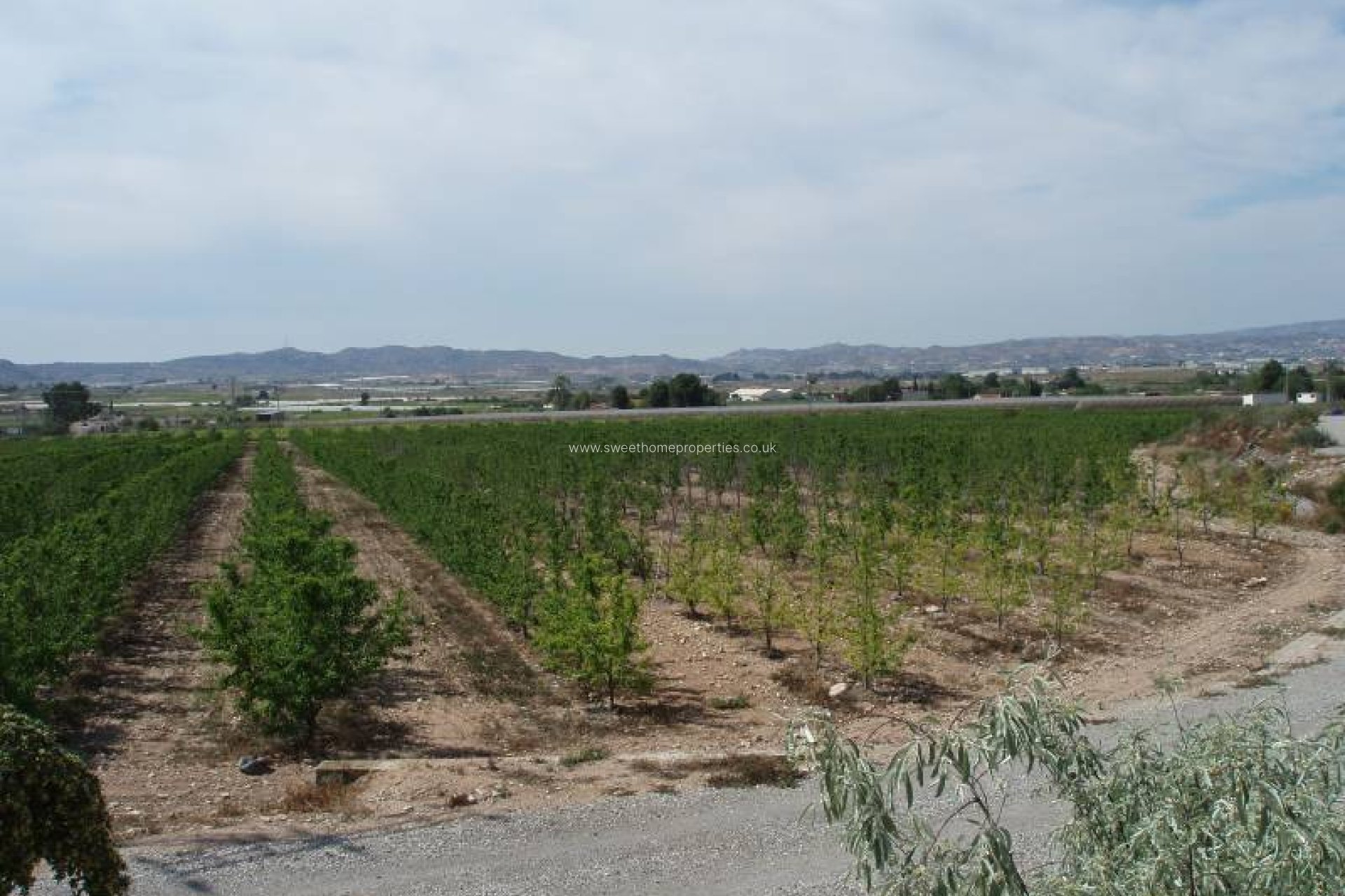 Reventa - Casa de campo - Monforte del Cid - GABARRERA