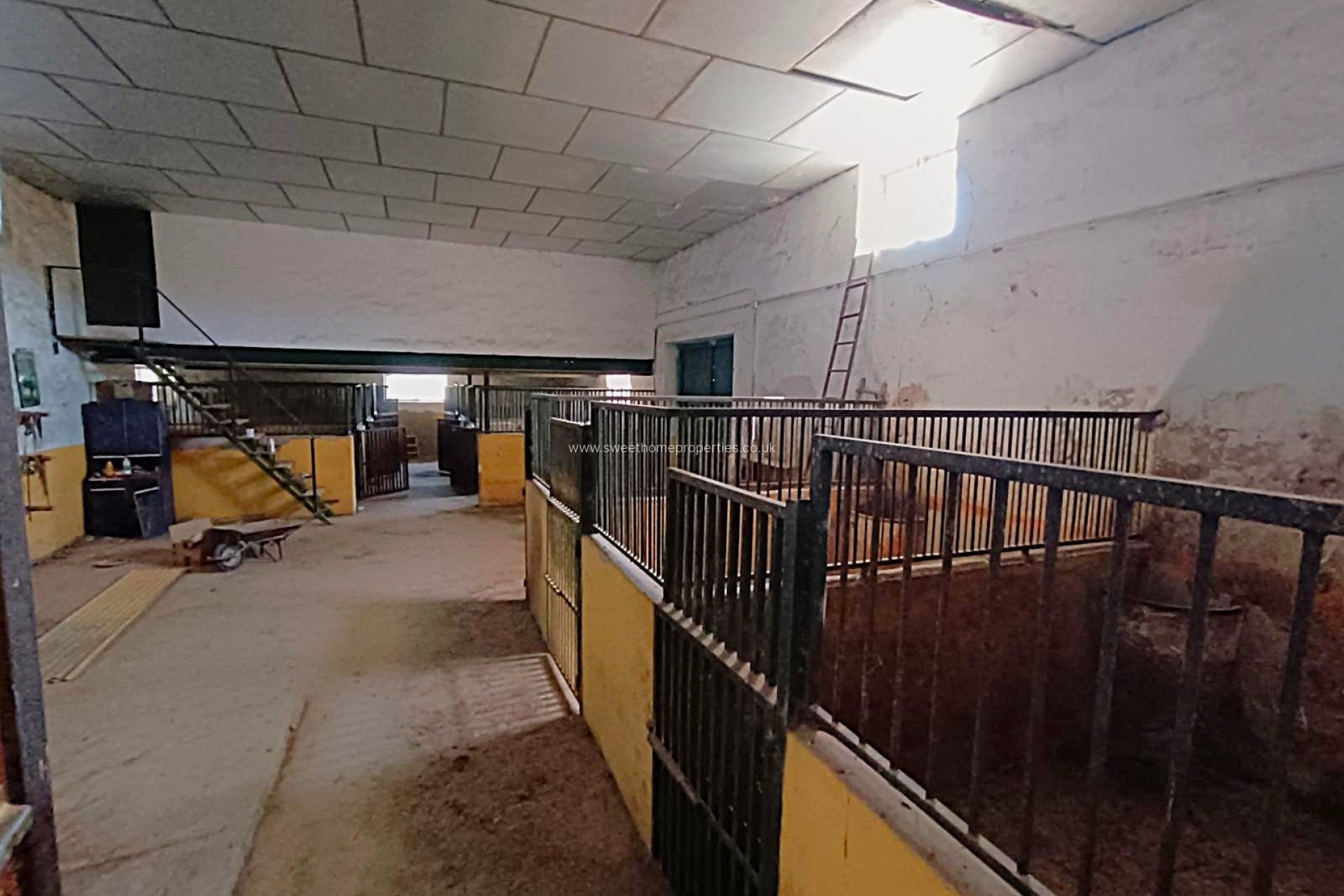 Reventa - Casa de campo - Monovar - MONOVAR