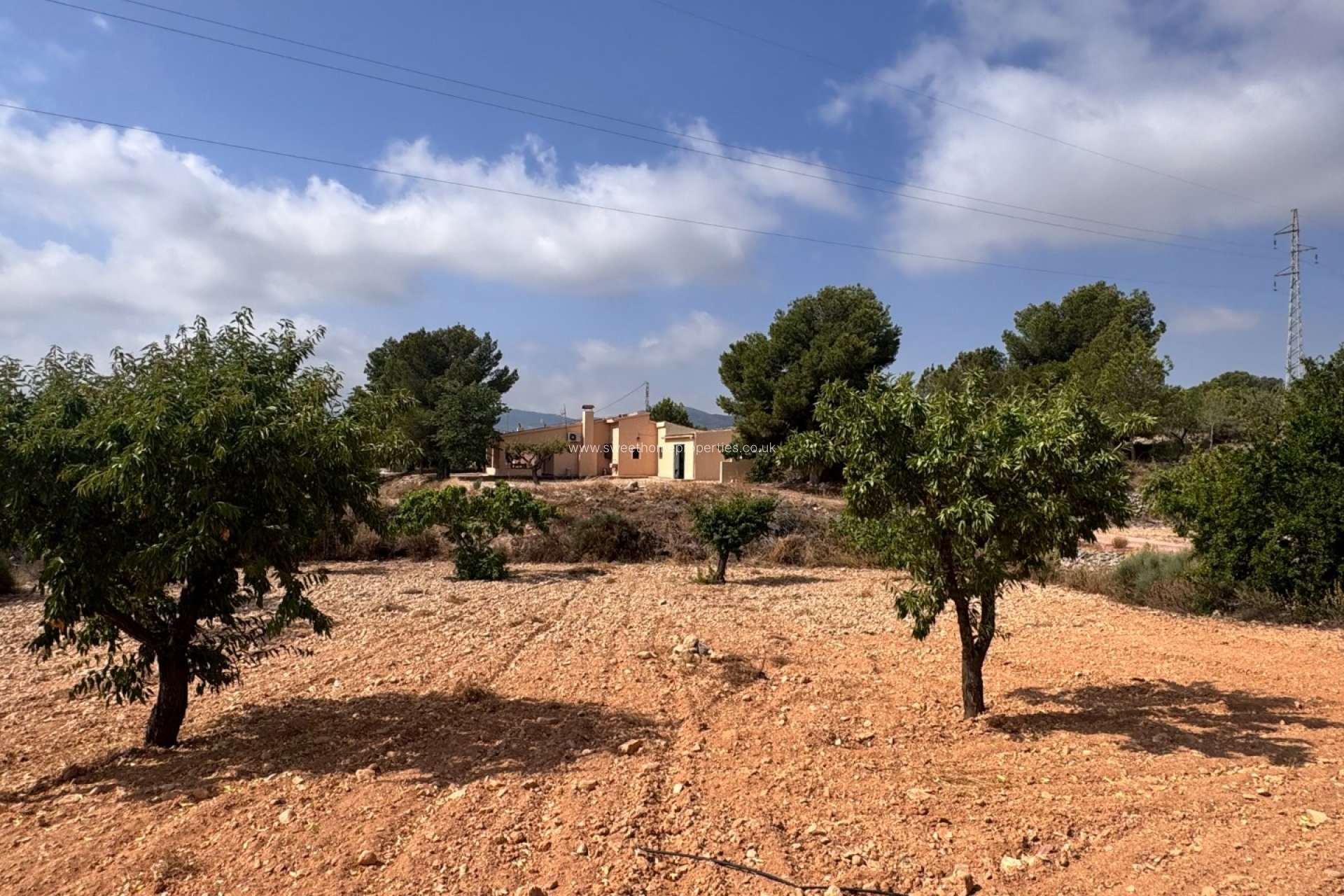 Reventa - Casa de campo - Monovar