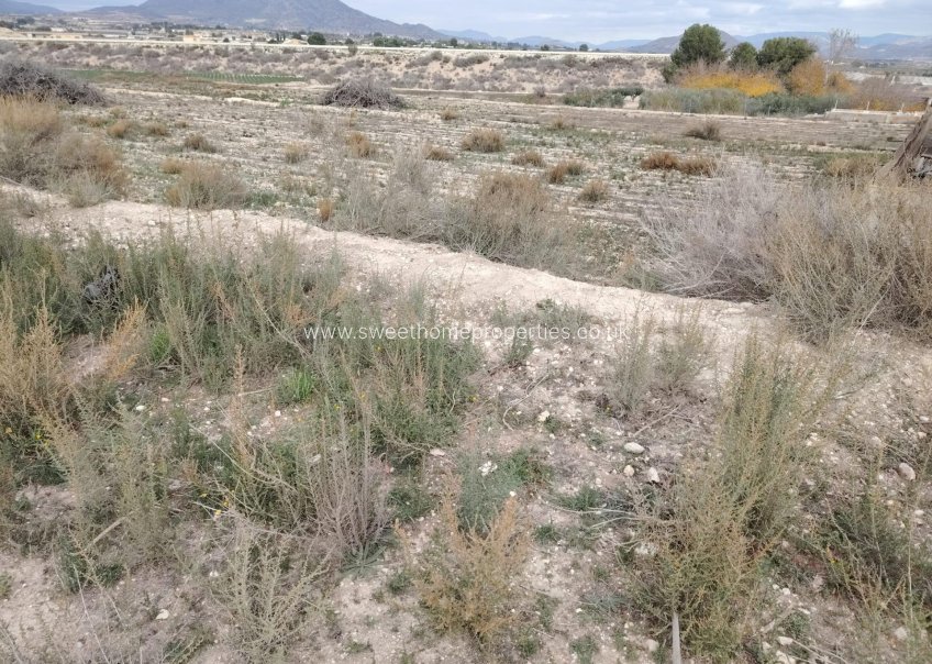 Reventa - Casa de campo - Novelda - Comunidad valenciana