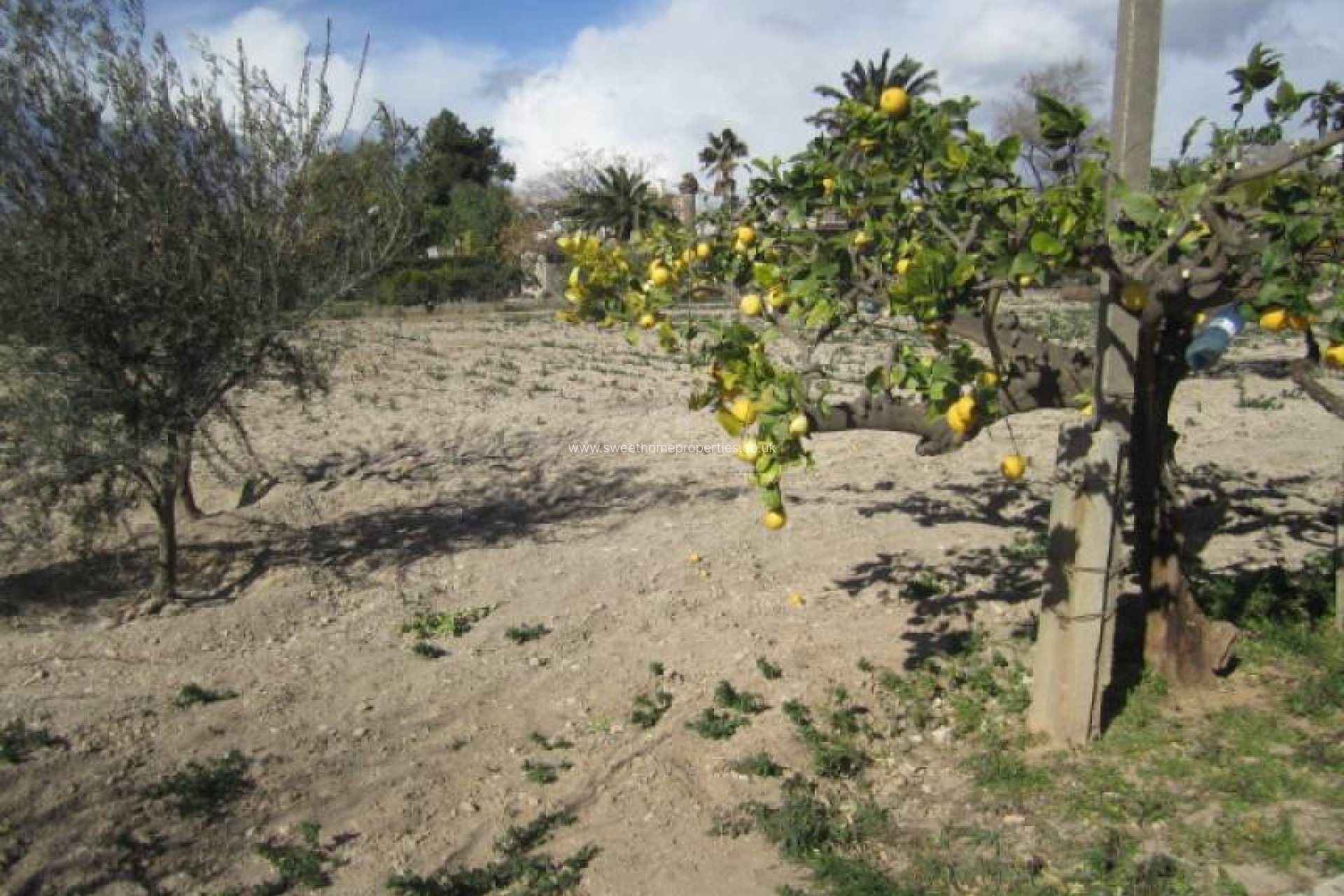 Reventa - Casa de campo - Novelda - LEDUA PARK