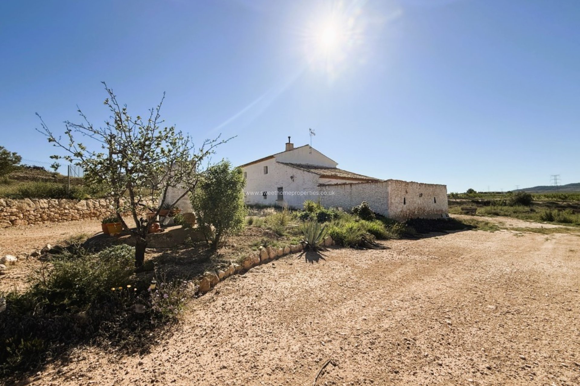 Reventa - Casa de campo - Pinoso