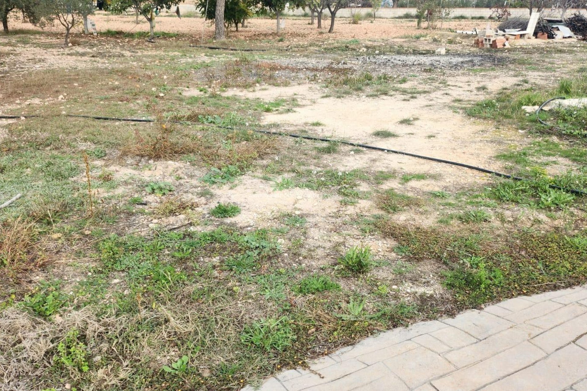 Reventa - Casa de campo - Sax - SAX - SALINAS