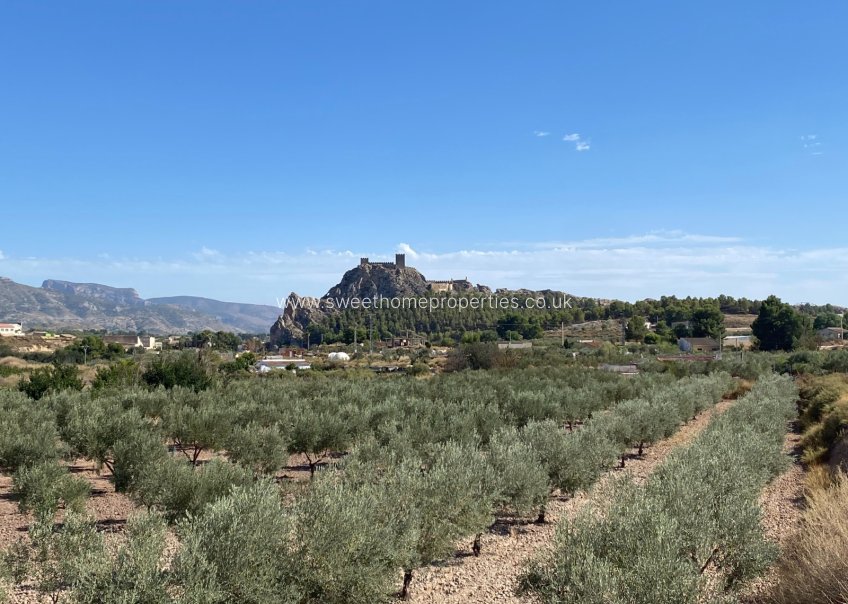 Reventa - Casa de campo - Sax