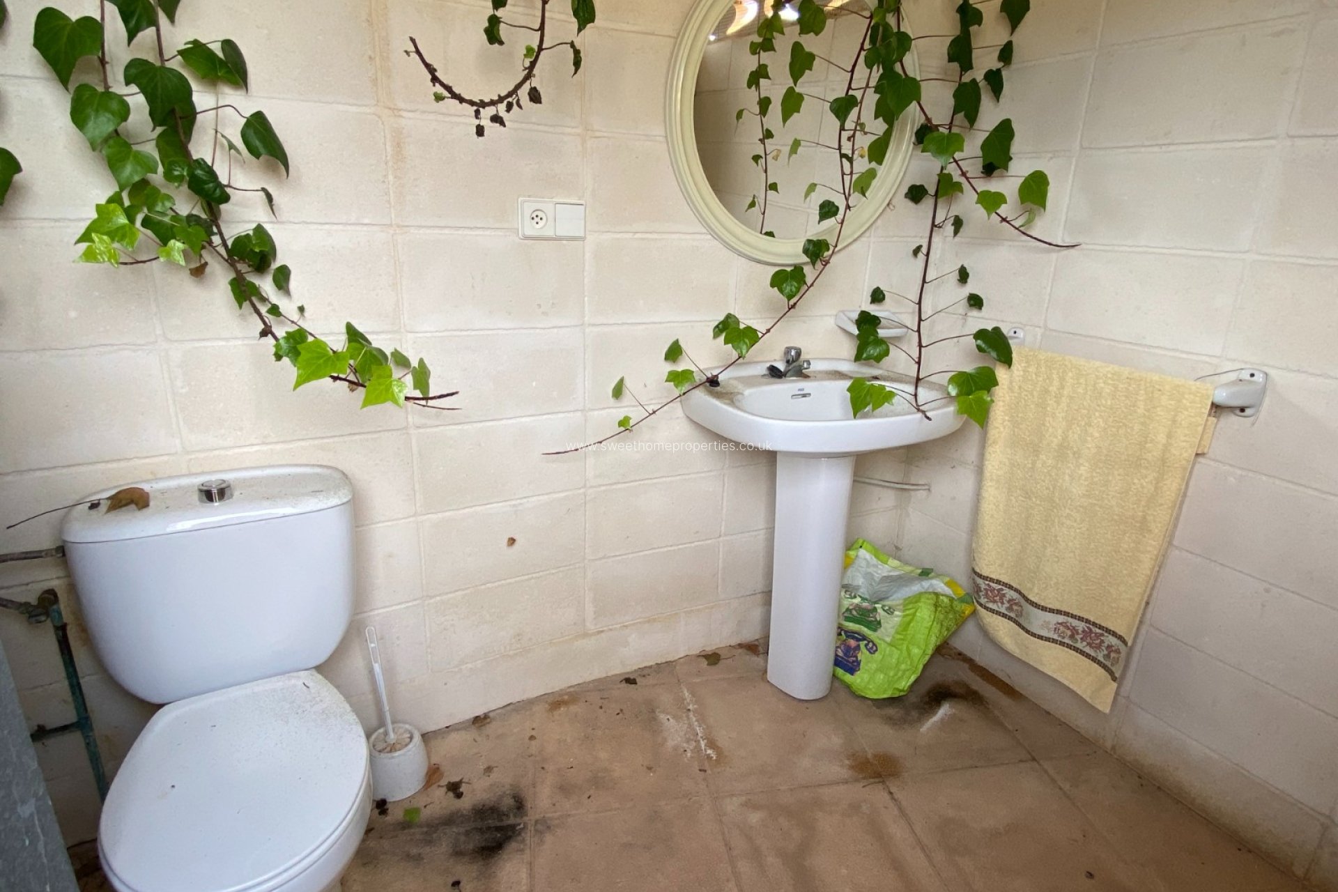 Reventa - Casa de campo - Sax