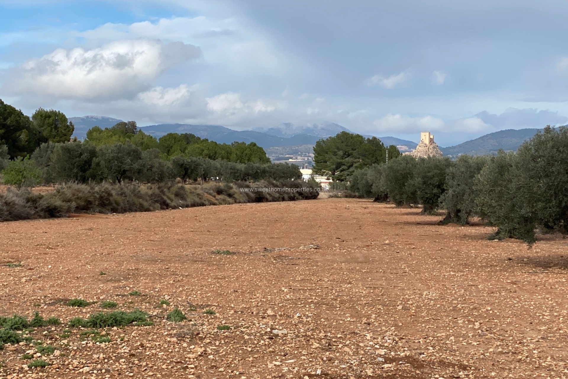 Reventa - Casa de campo - Sax