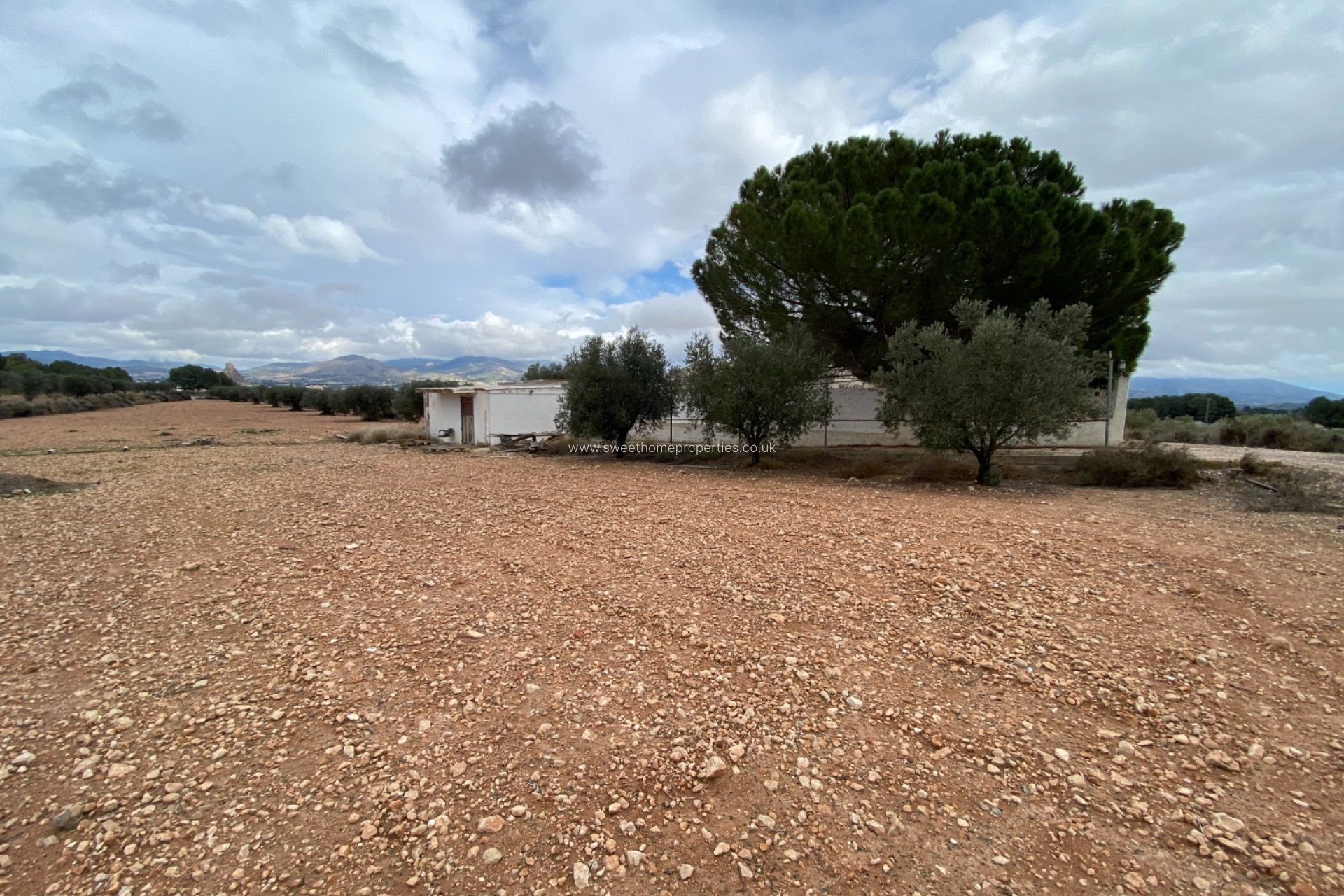 Reventa - Casa de campo - Sax