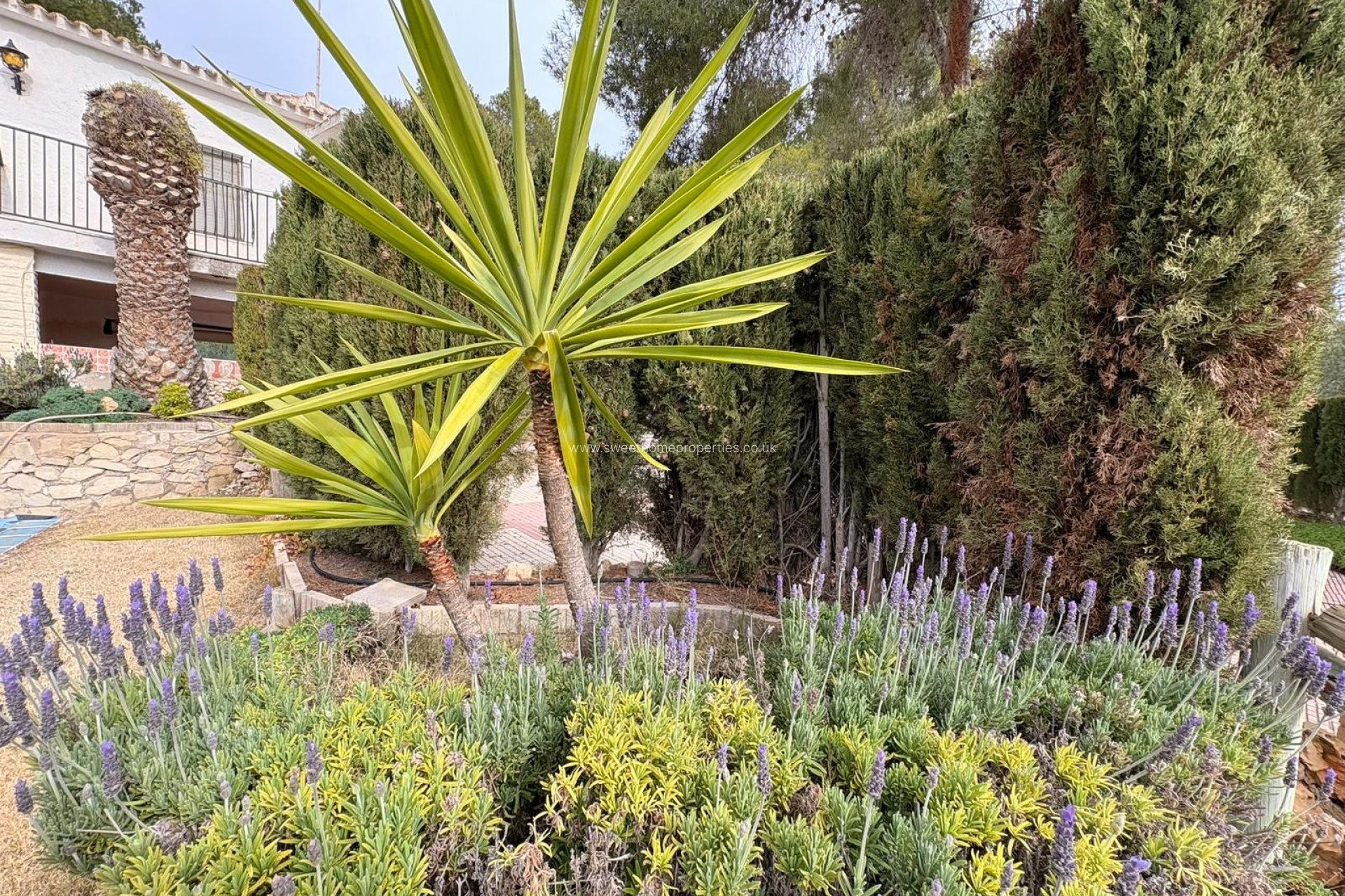 Reventa - Casa de campo - Sax