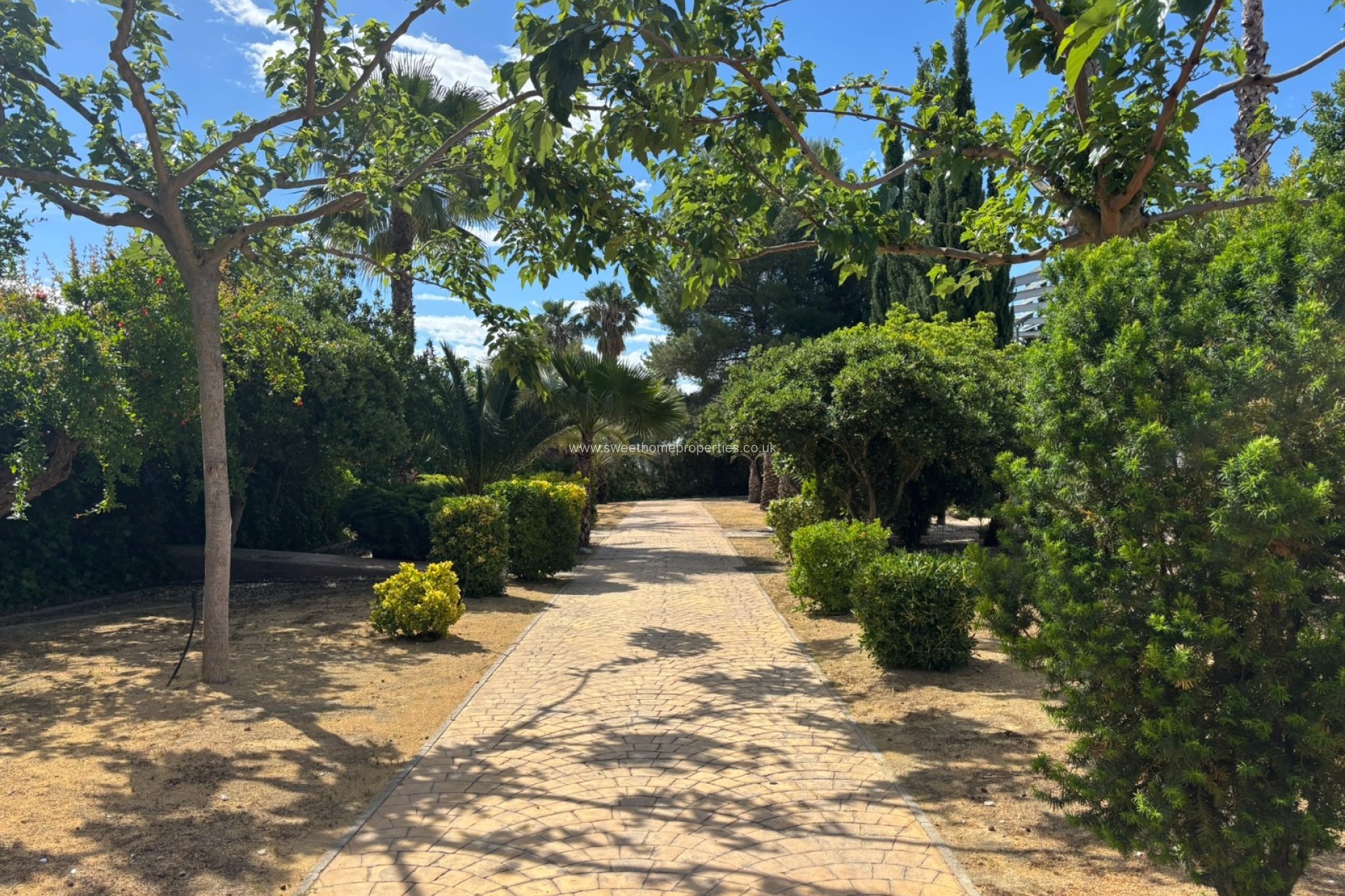 Reventa - Casa de campo - Sax