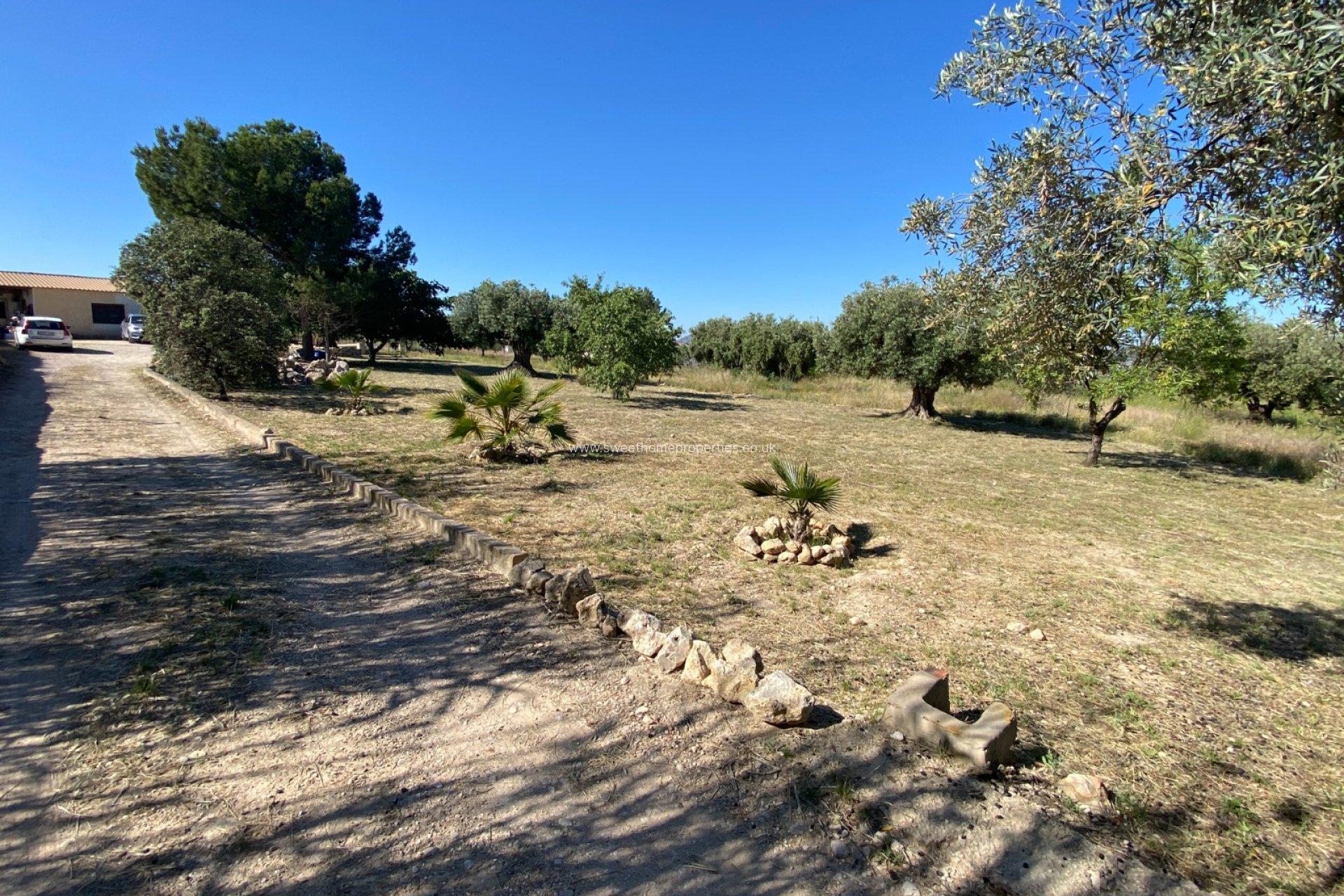 Reventa - Casa de campo - Sax