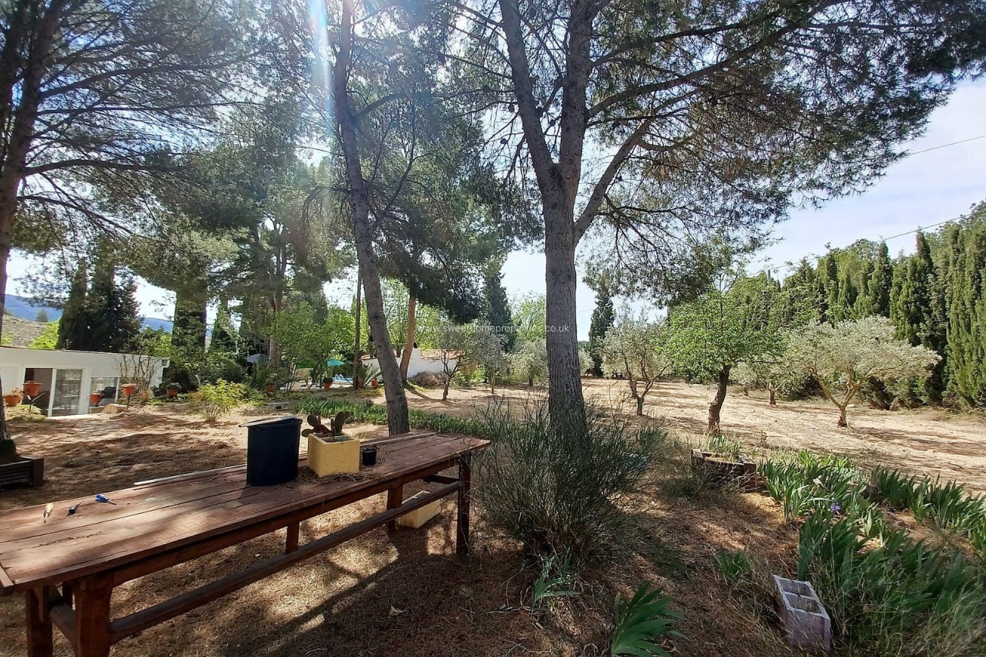 Reventa - Casa de campo - Sax