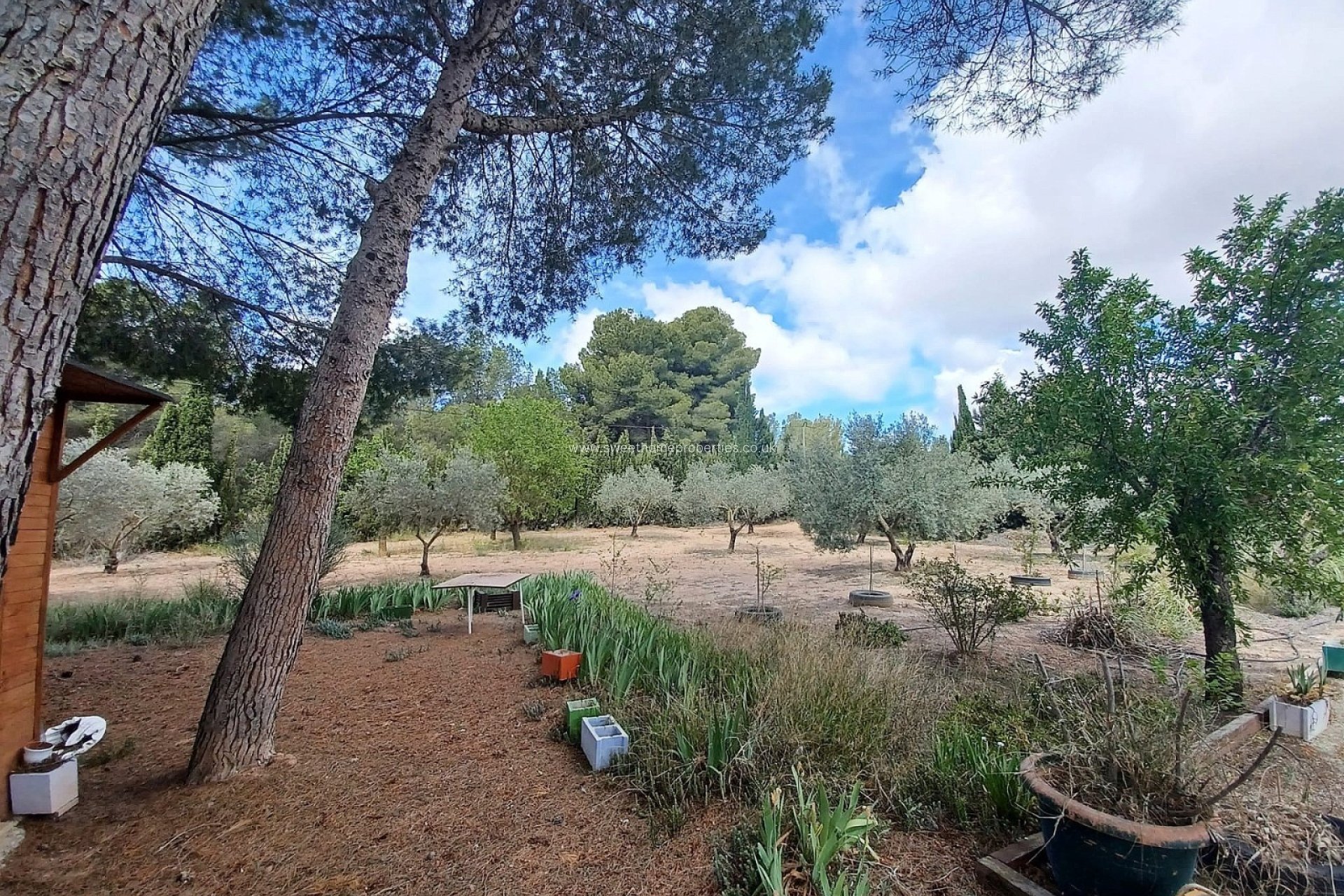 Reventa - Casa de campo - Sax
