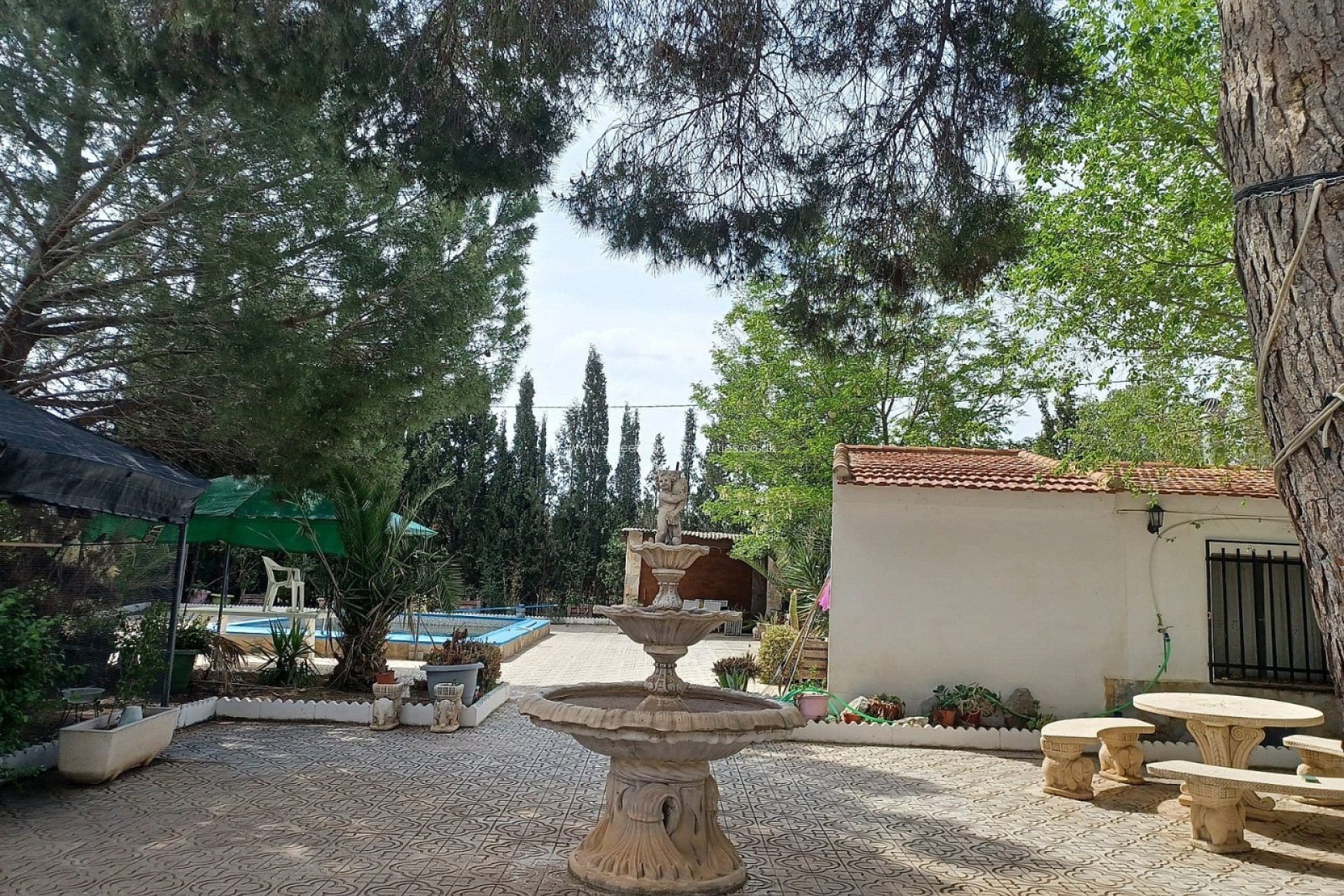 Reventa - Casa de campo - Sax