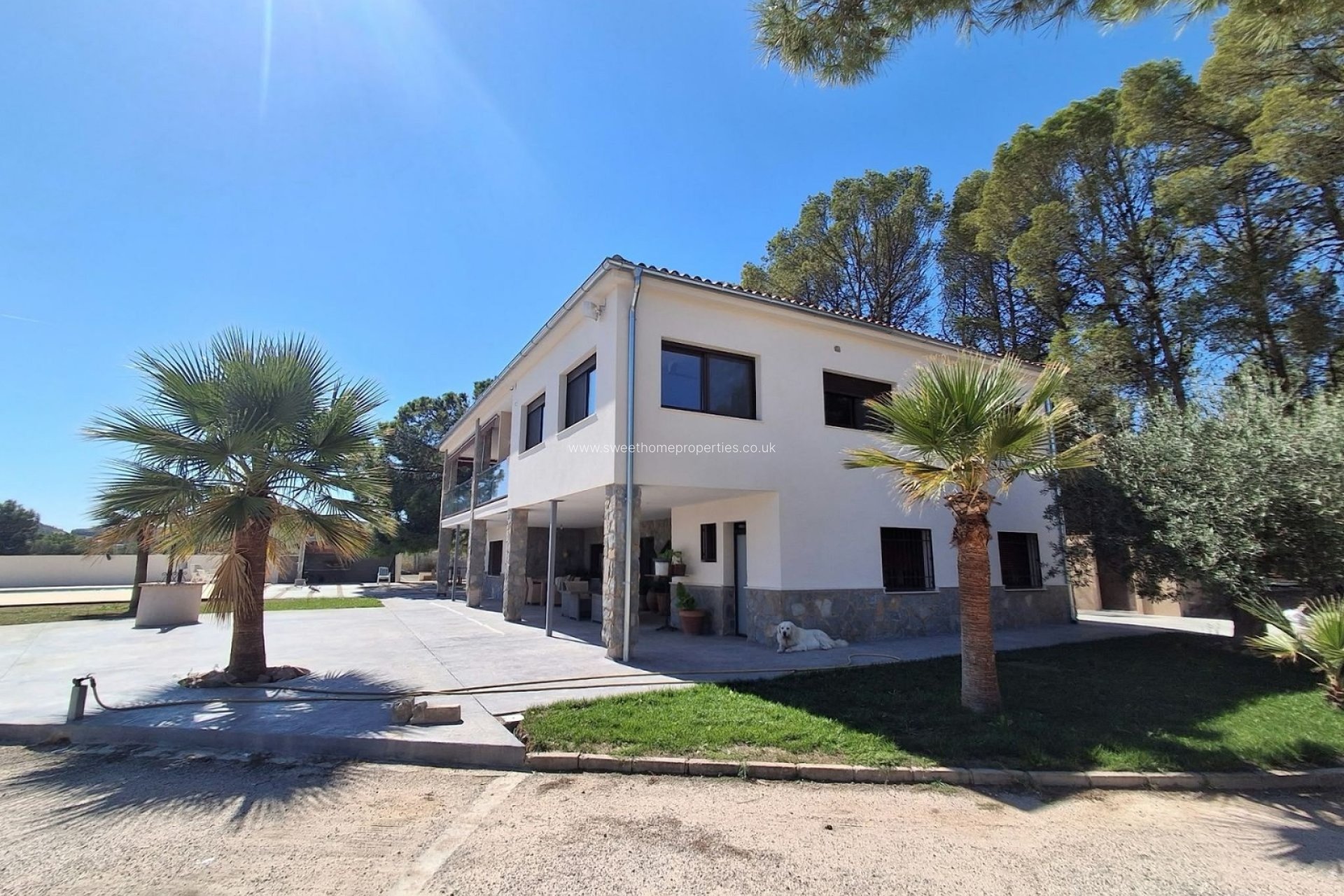 Reventa - Casa de campo - Sax