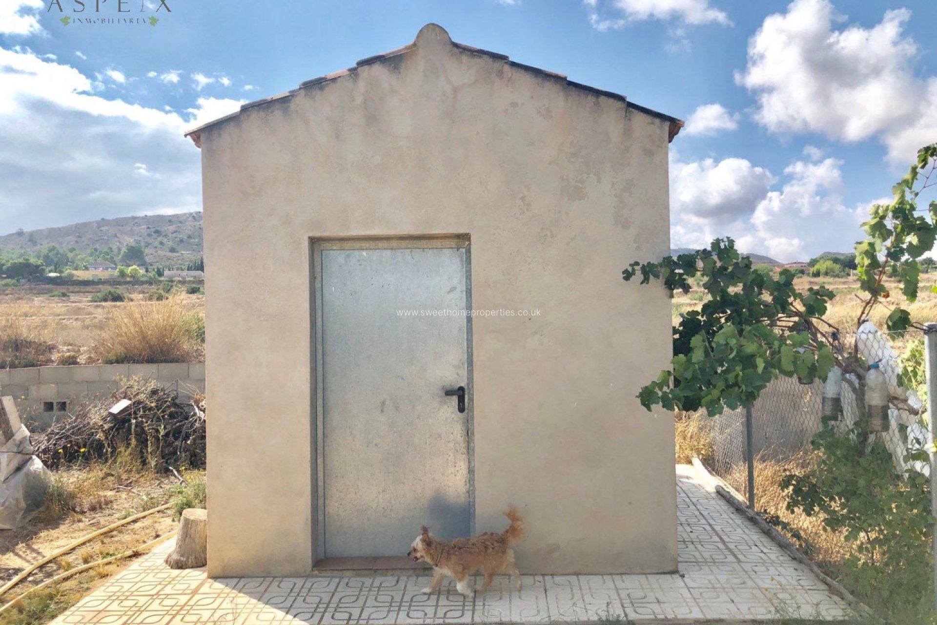 Reventa - Chalet - Aspe pedanias - Tolomo Alto