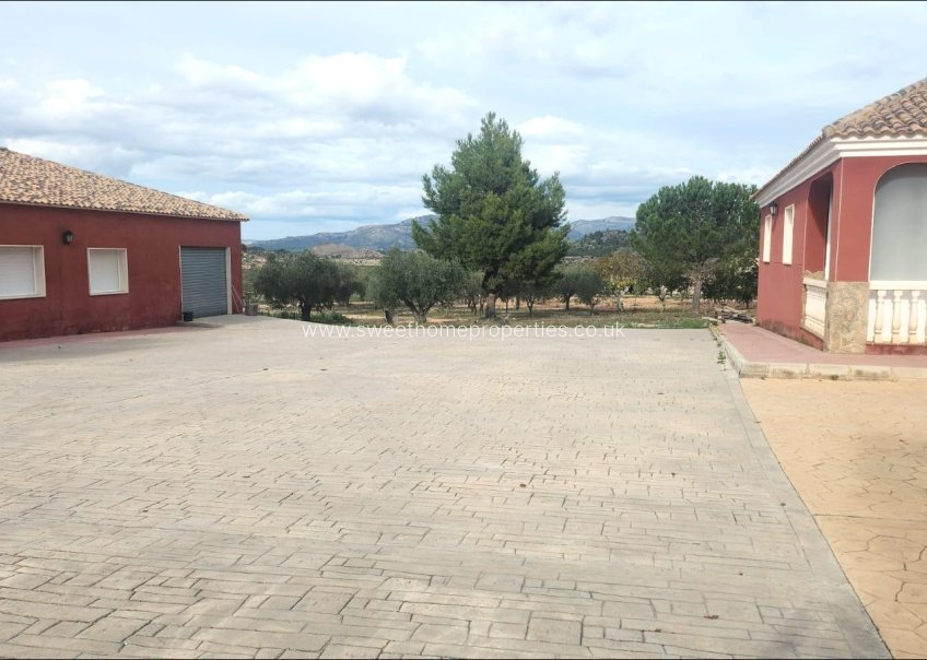 Reventa - Chalet - Sax - SAX - SALINAS