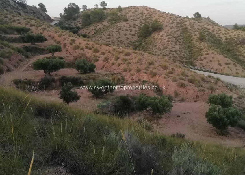 Reventa - Plot - Abanilla - MACISVENDA