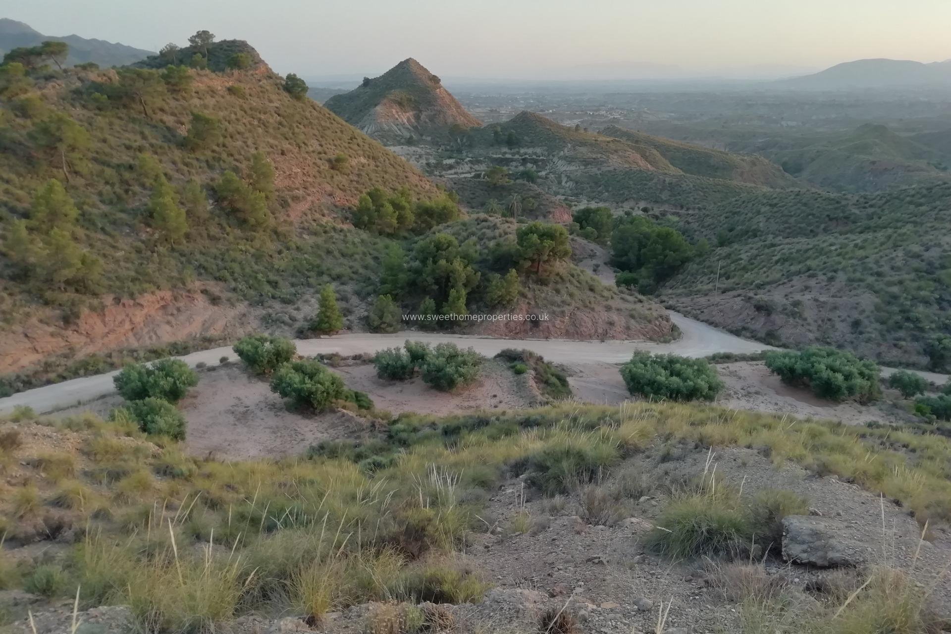 Reventa - Plot - Abanilla - MACISVENDA