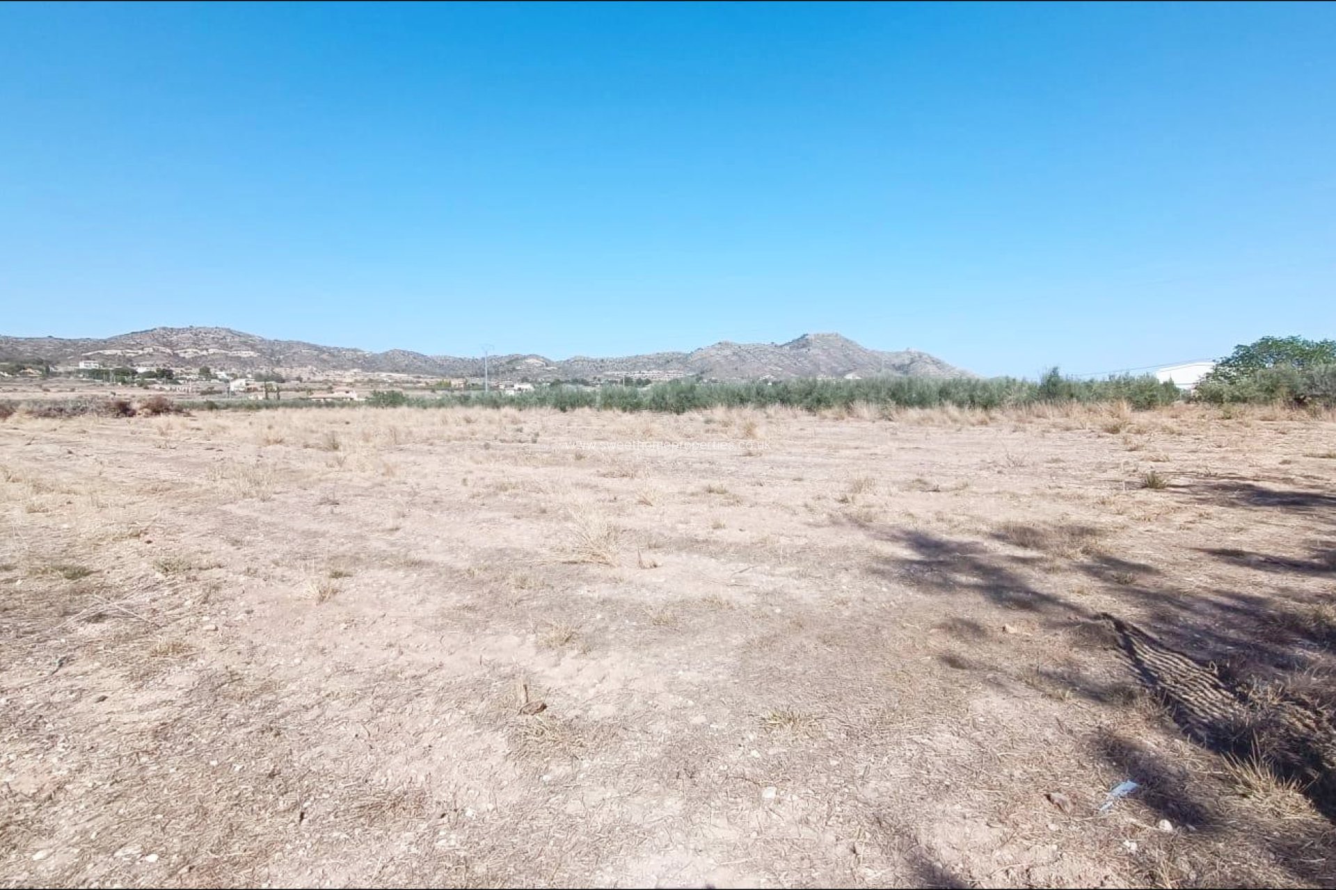 Reventa - Plot - Aspe - Alcaná