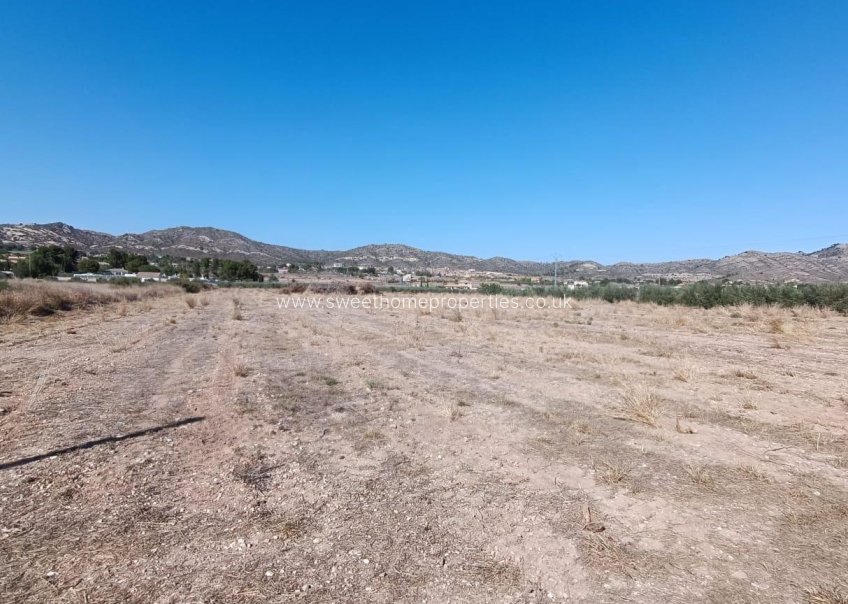 Reventa - Plot - Aspe - Alcaná