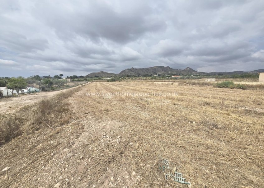Reventa - Plot - Aspe - Horna baja