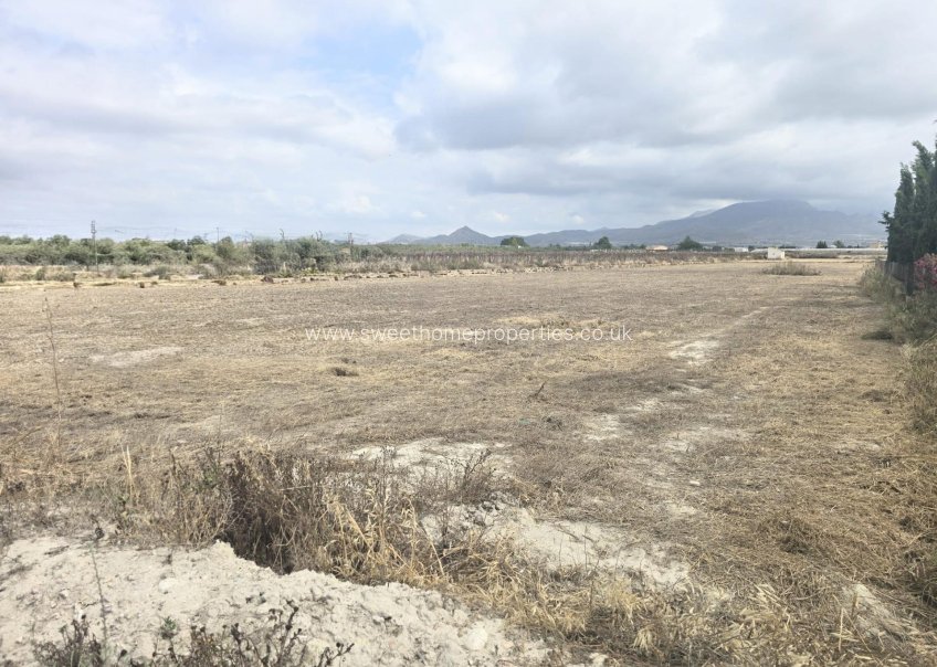 Reventa - Plot - Aspe - Huerta mayor