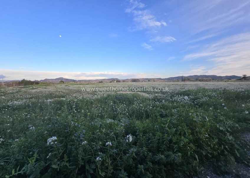 Reventa - Plot - Aspe - Pedanías Este