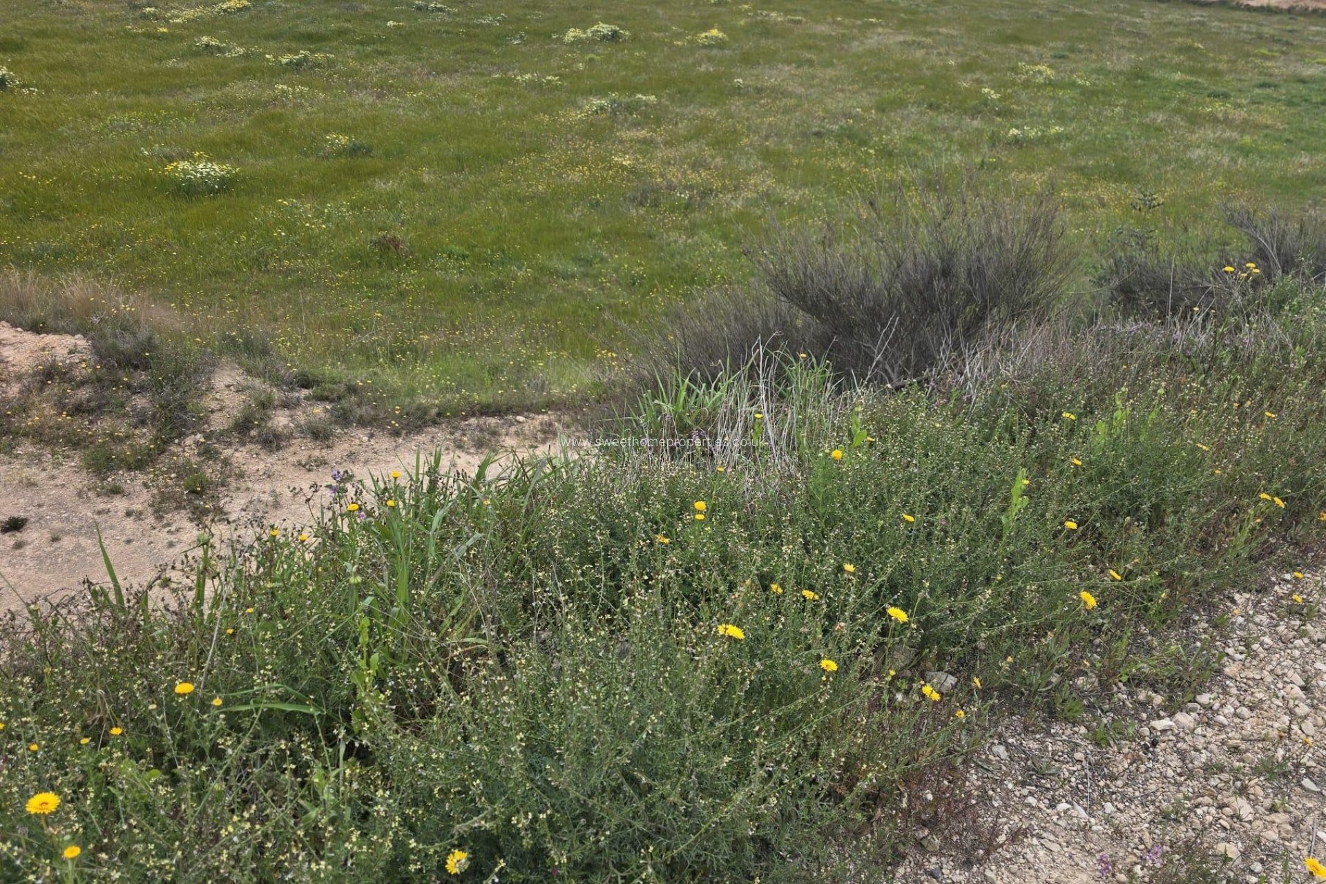 Reventa - Plot - Aspe - Pedanías Este