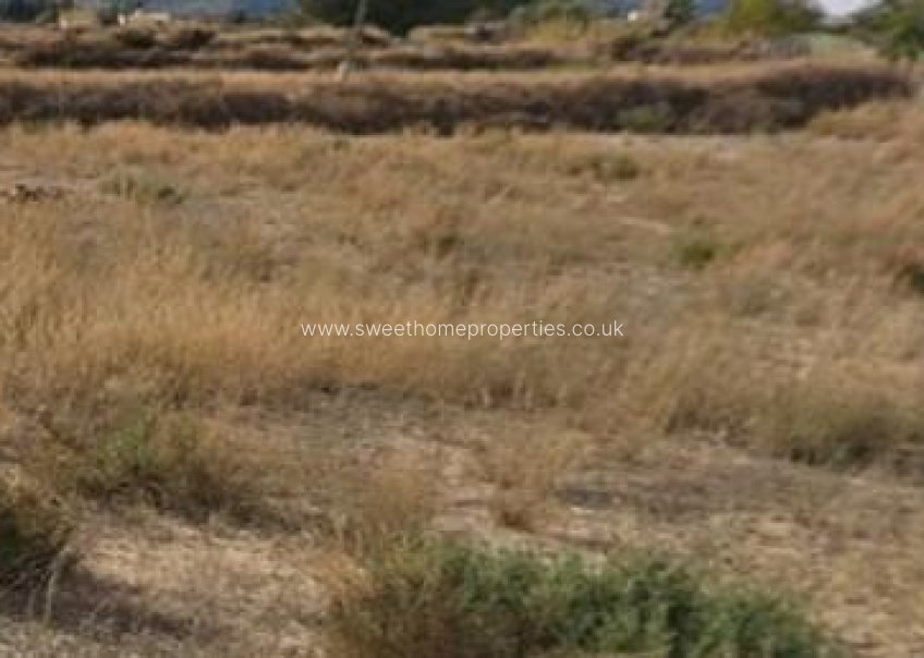 Reventa - Plot - Aspe