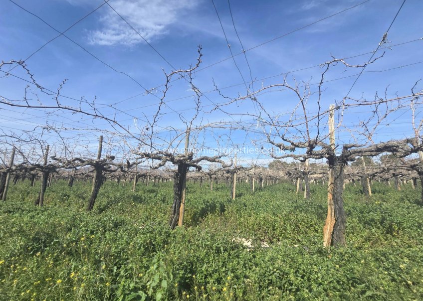 Reventa - Plot - Aspe