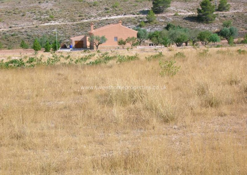 Reventa - Plot - Hondon De Las Nieves - canalosa