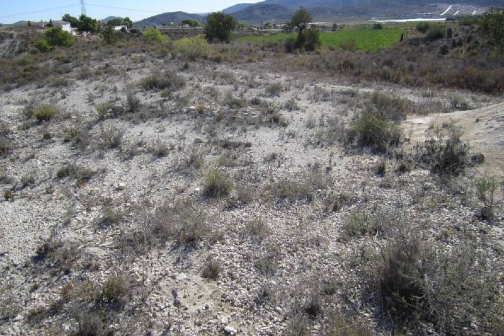 Reventa - Plot - Hondon De Las Nieves - canalosa