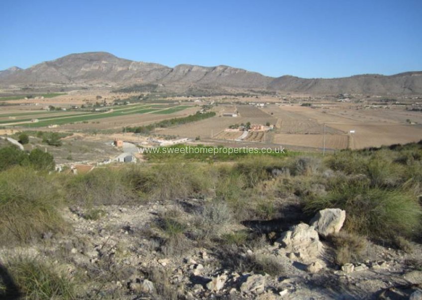 Reventa - Plot - Hondon De Las Nieves - Hondon de las Nieves - Campo