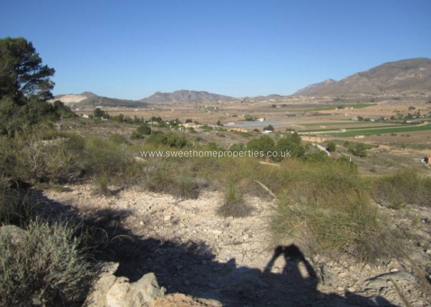Reventa - Plot - Hondon De Las Nieves - Hondon de las Nieves - Campo
