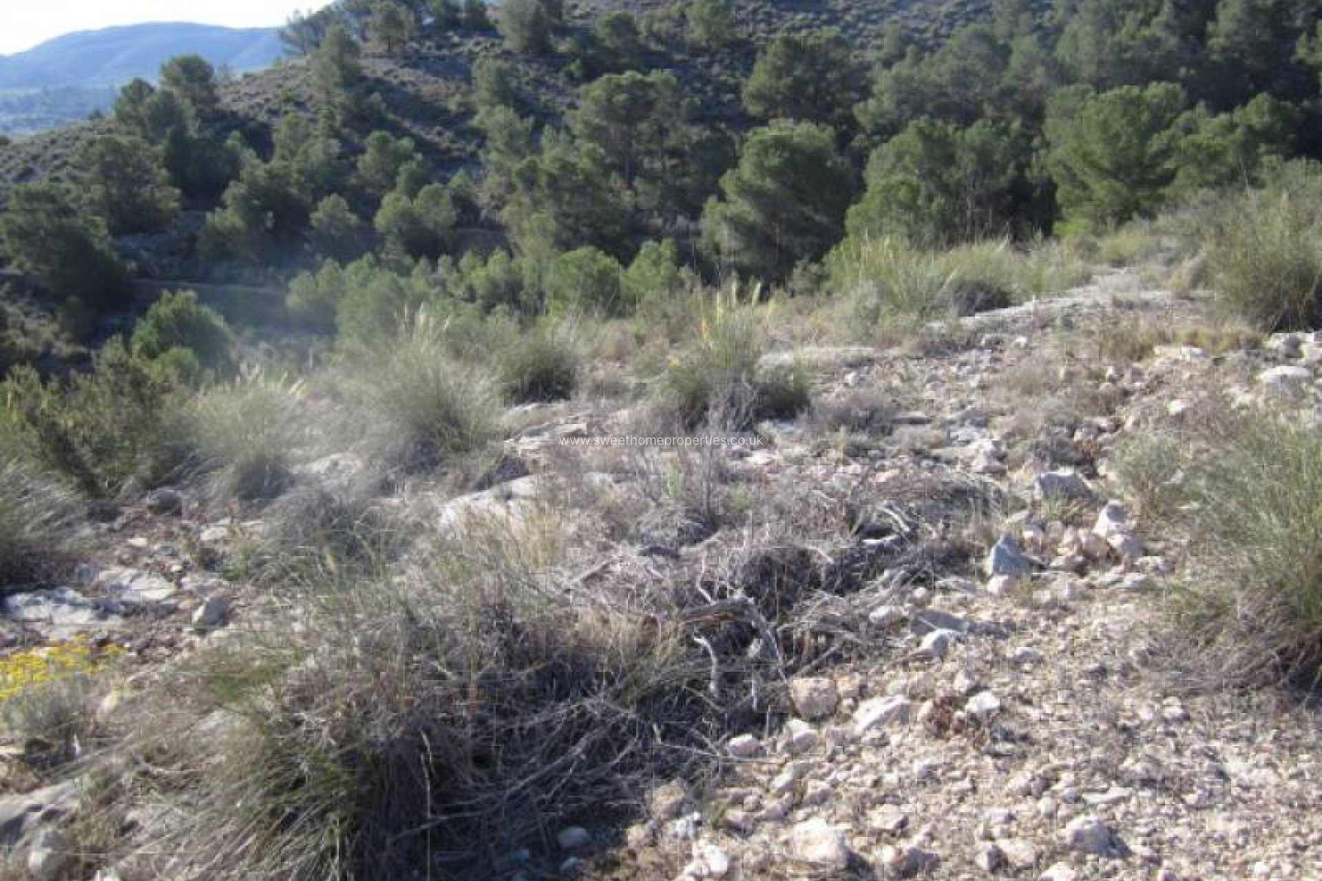 Reventa - Plot - Hondon De Las Nieves - Hondon de las Nieves - Campo