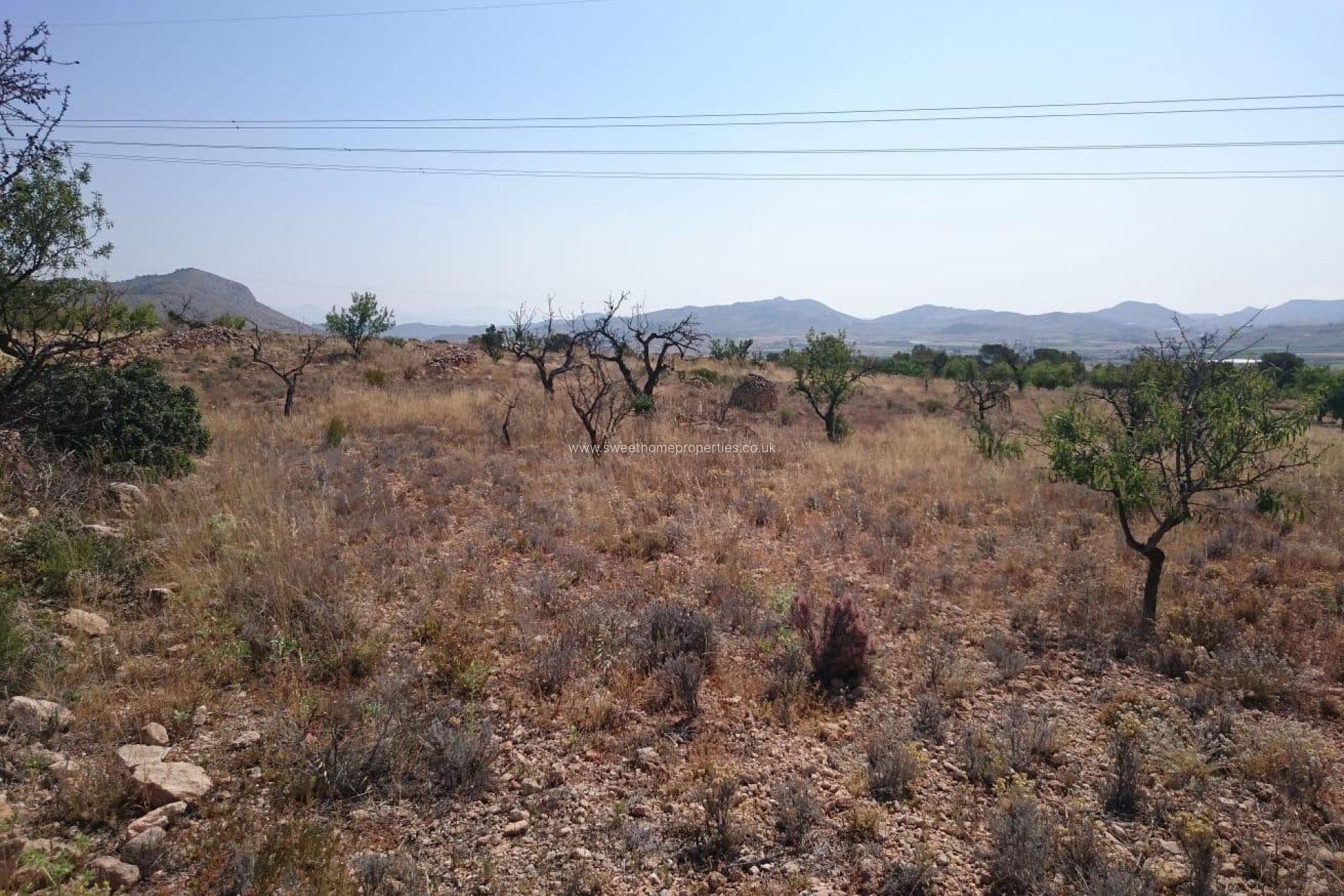 Reventa - Plot - Hondon De Las Nieves - LA CANALOSA