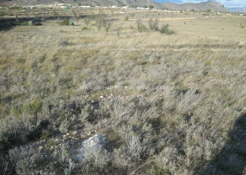 Reventa - Plot - Hondon De Las Nieves - La solana