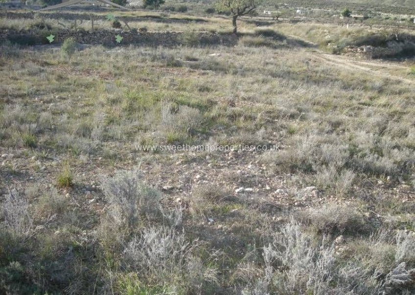 Reventa - Plot - Hondon De Las Nieves - La solana