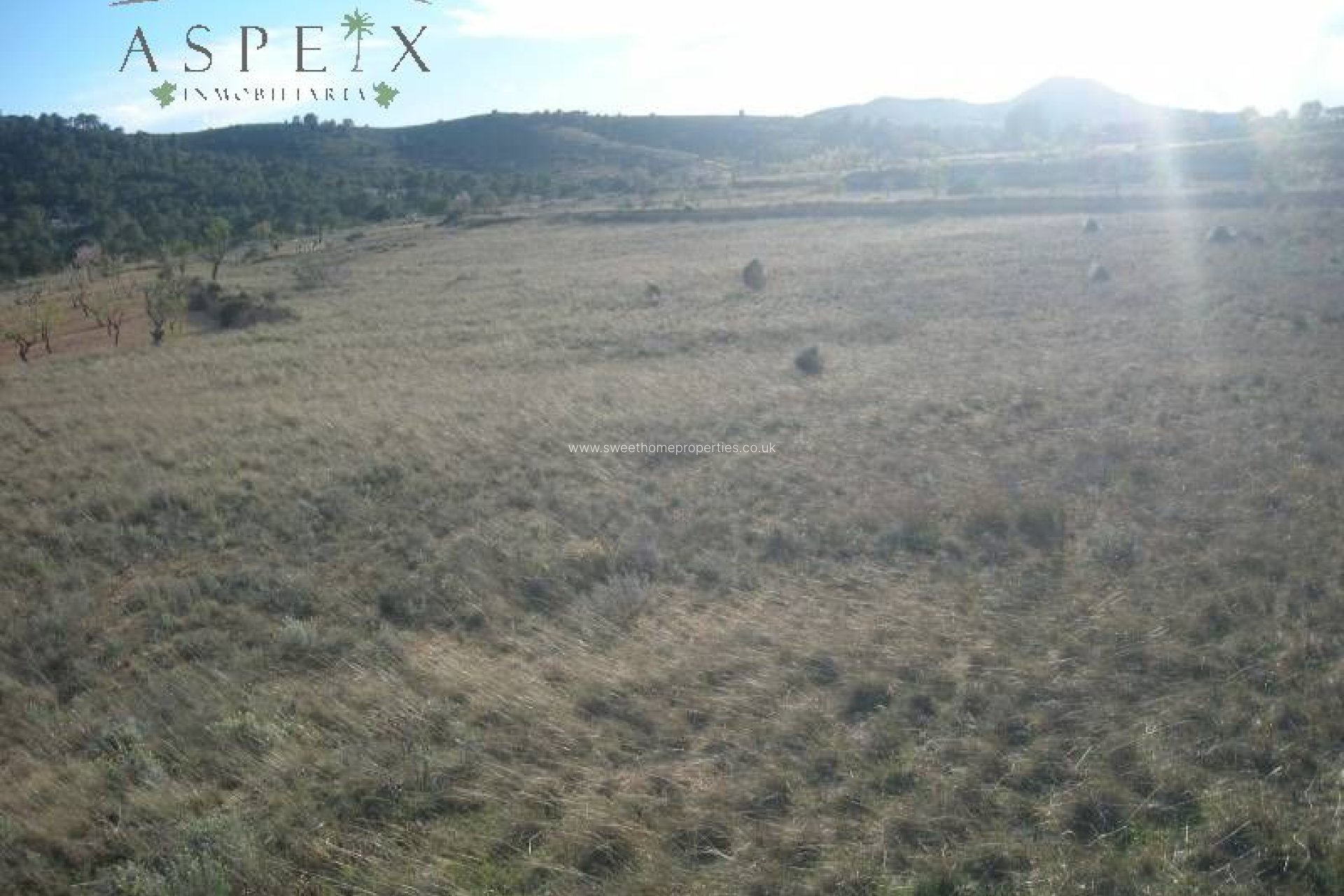 Reventa - Plot - Hondon De Las Nieves - La solana