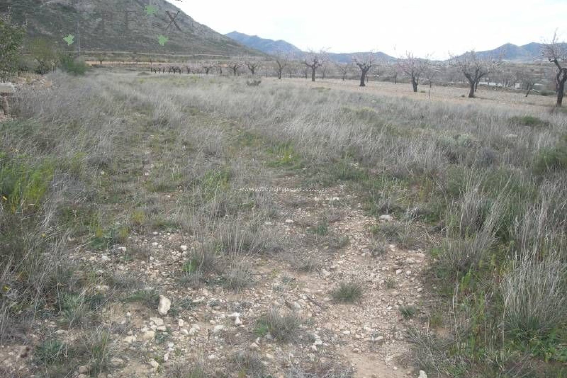 Reventa - Plot - Hondon De Las Nieves - La solana