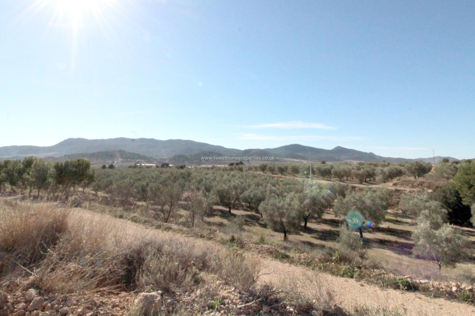 Reventa - Plot - Hondon De Las Nieves - La solana