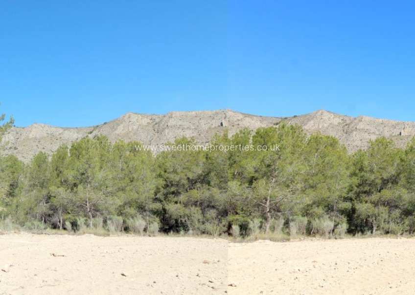 Reventa - Plot - Hondon De Las Nieves - La solana