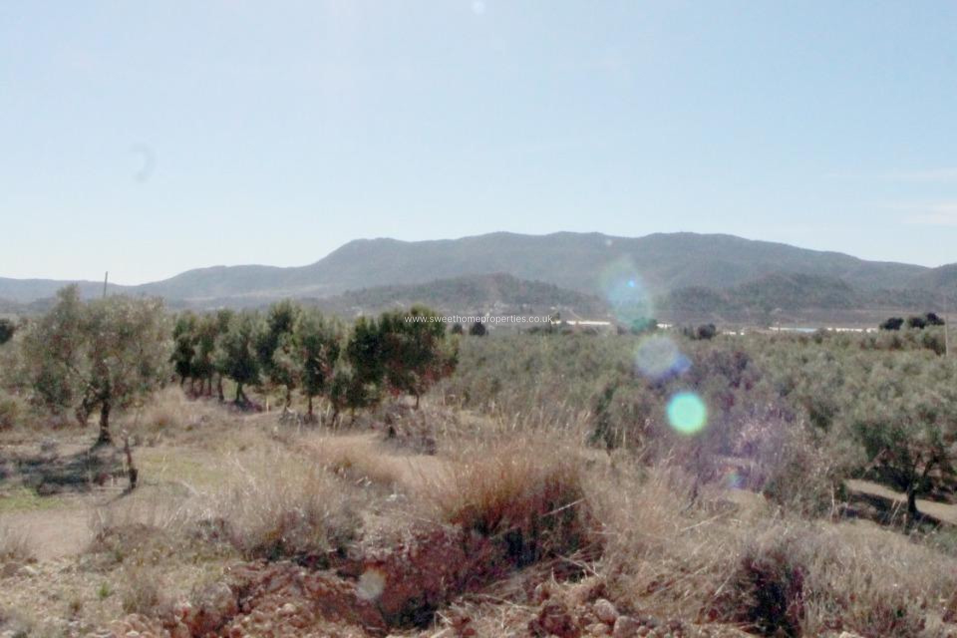 Reventa - Plot - Hondon De Las Nieves - La solana