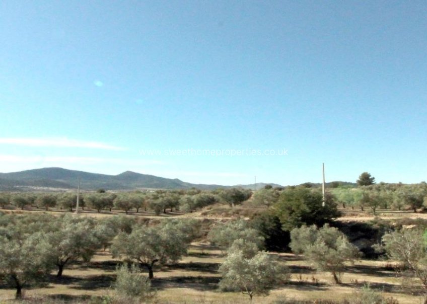 Reventa - Plot - Hondon De Las Nieves - La solana