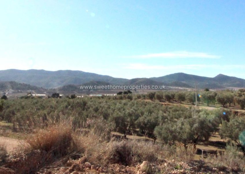 Reventa - Plot - Hondon De Las Nieves - La solana