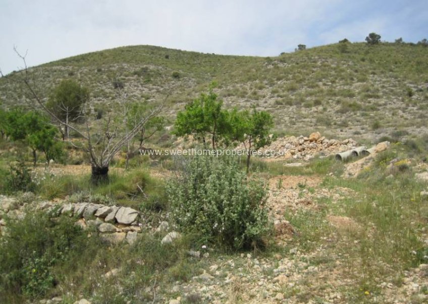 Reventa - Plot - Hondon De Las Nieves - REBALSO