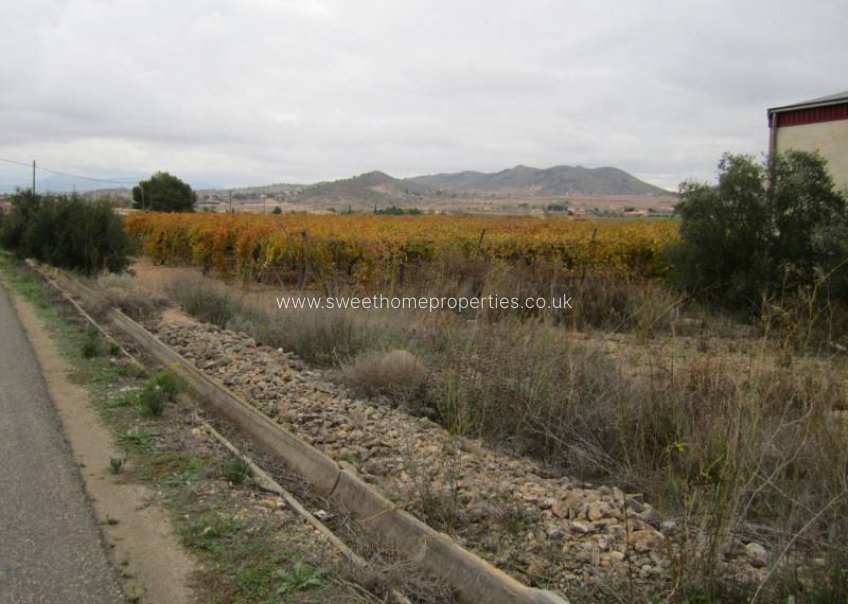 Reventa - Plot - Hondon De Las Nieves - SIMOLA