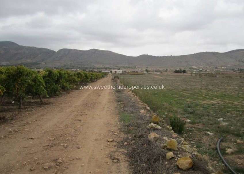 Reventa - Plot - Hondon De Las Nieves - SIMOLA