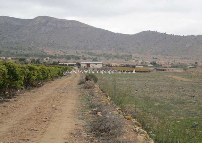 Reventa - Plot - Hondon De Las Nieves - SIMOLA