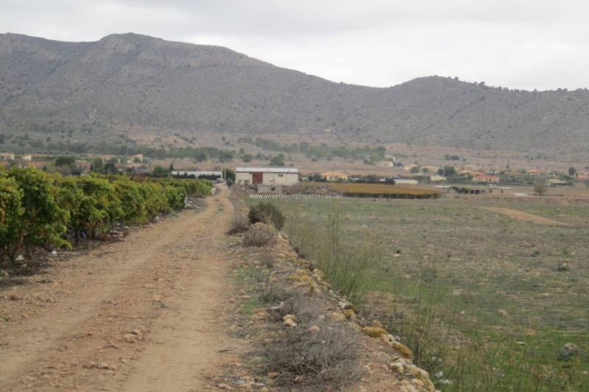 Reventa - Plot - Hondon De Las Nieves - SIMOLA